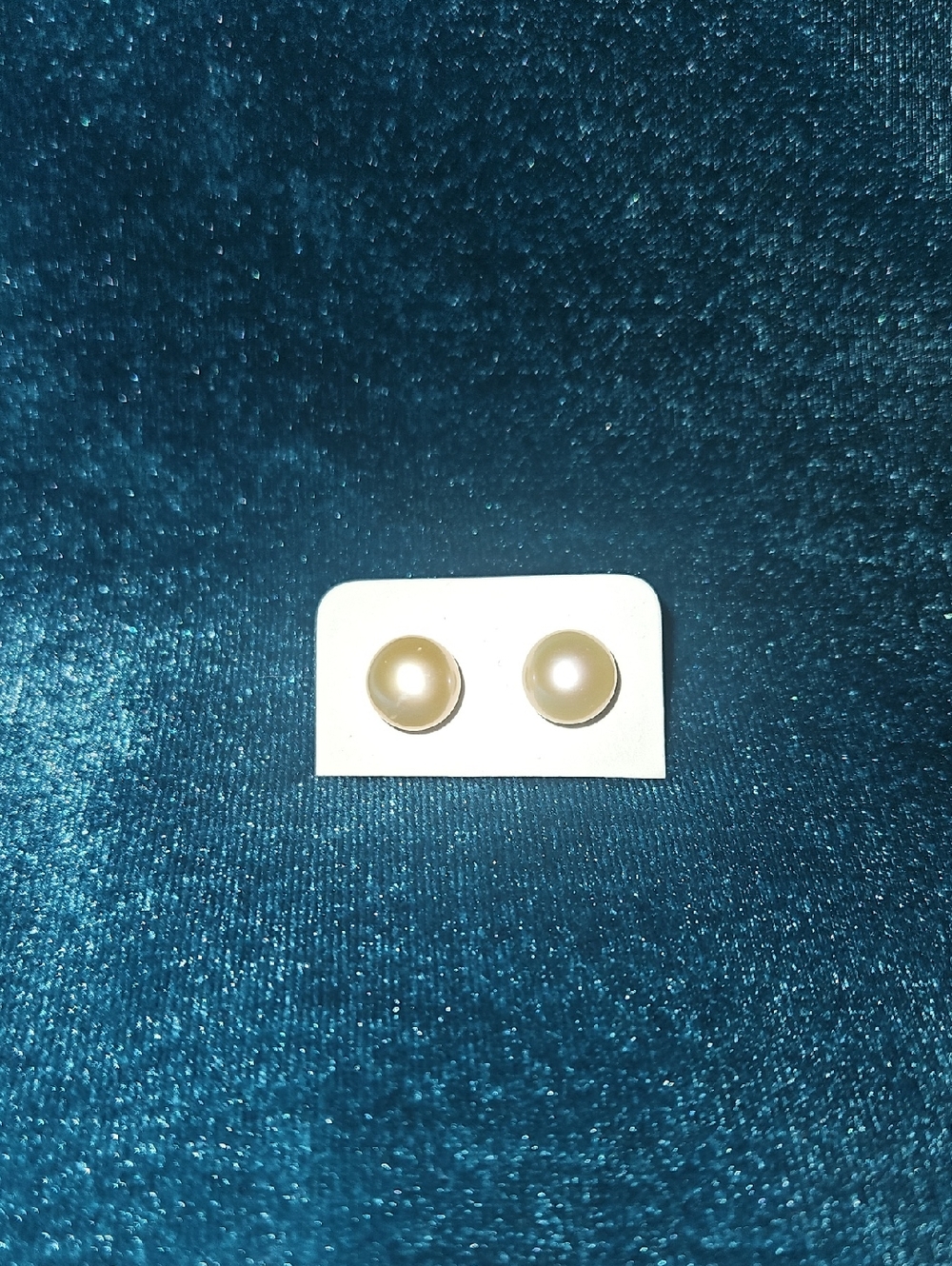 Classic Cream Freshwater Pearl Stud Earrings